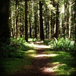 Golden Ears - Menzies Trail