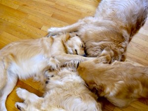 Another challenge to change is SAFETY…a basic human need. Change pushes us outside our comfort zone. That’s why relationships, teams, and the support of our colleagues and administrators are crucial.